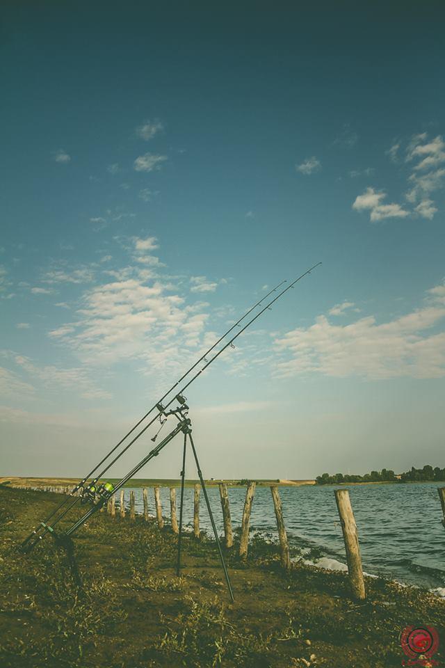 Concursuri 2016 by gor965 - 1451737311737404859825776044941888745882729n.jpg